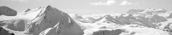 Salt and Light a soothing influence
