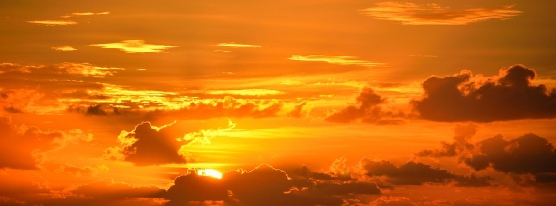 Purpose of Prophecy