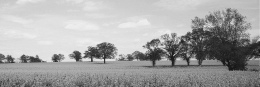 The first meeting place of Christians